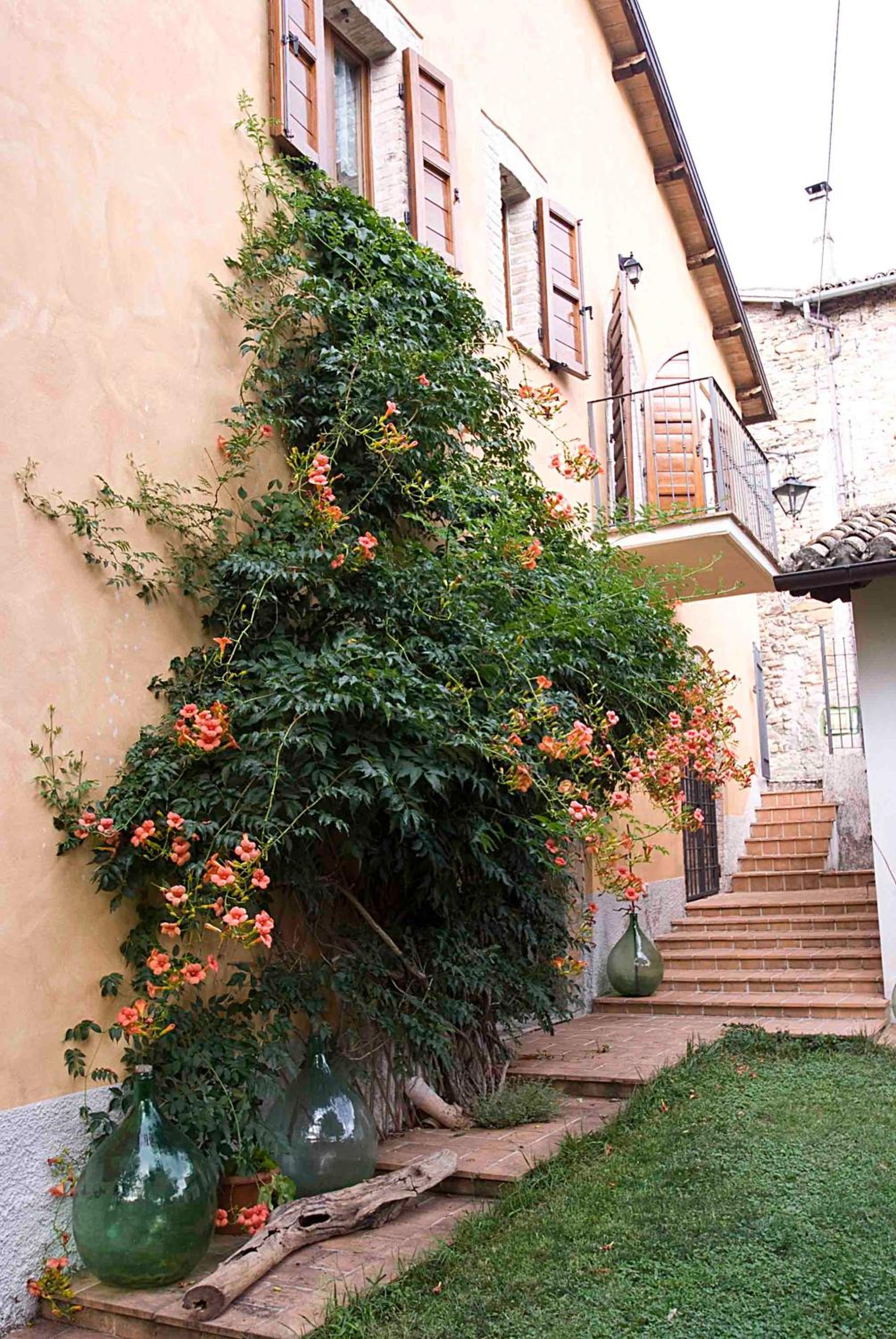 Casale del Monsignore