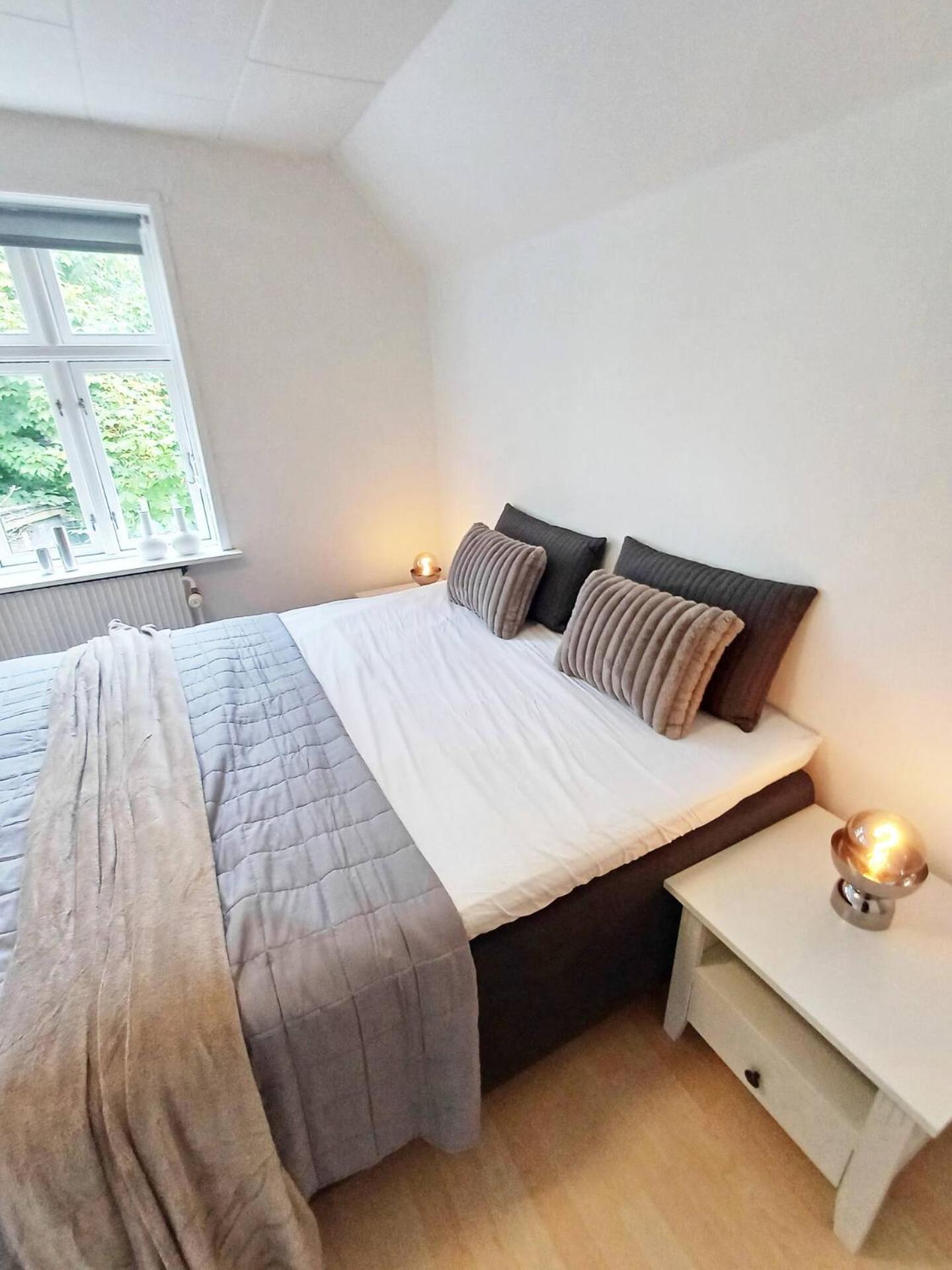 Cozy 1 bedroom apartment A