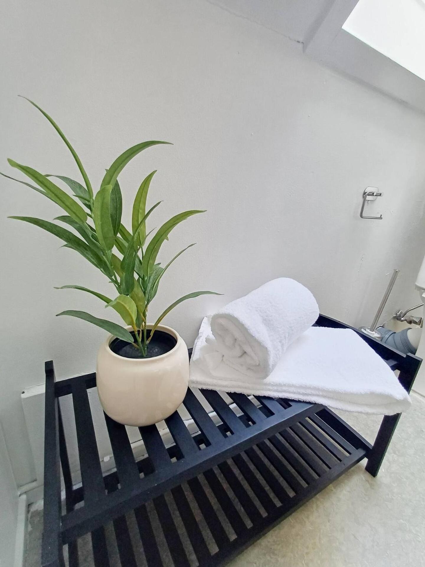Cozy 1 bedroom apartment A
