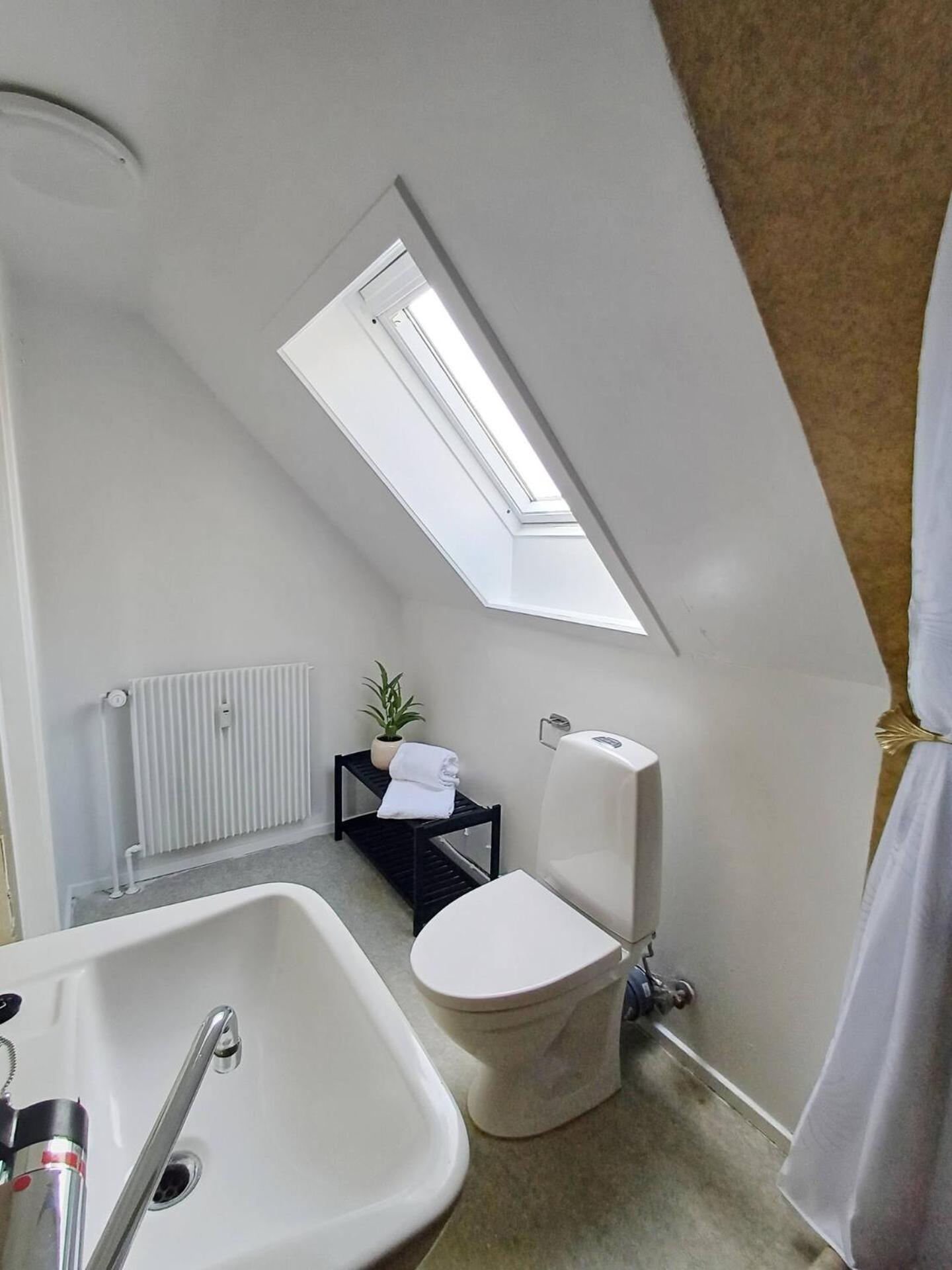 Cozy 1 bedroom apartment A