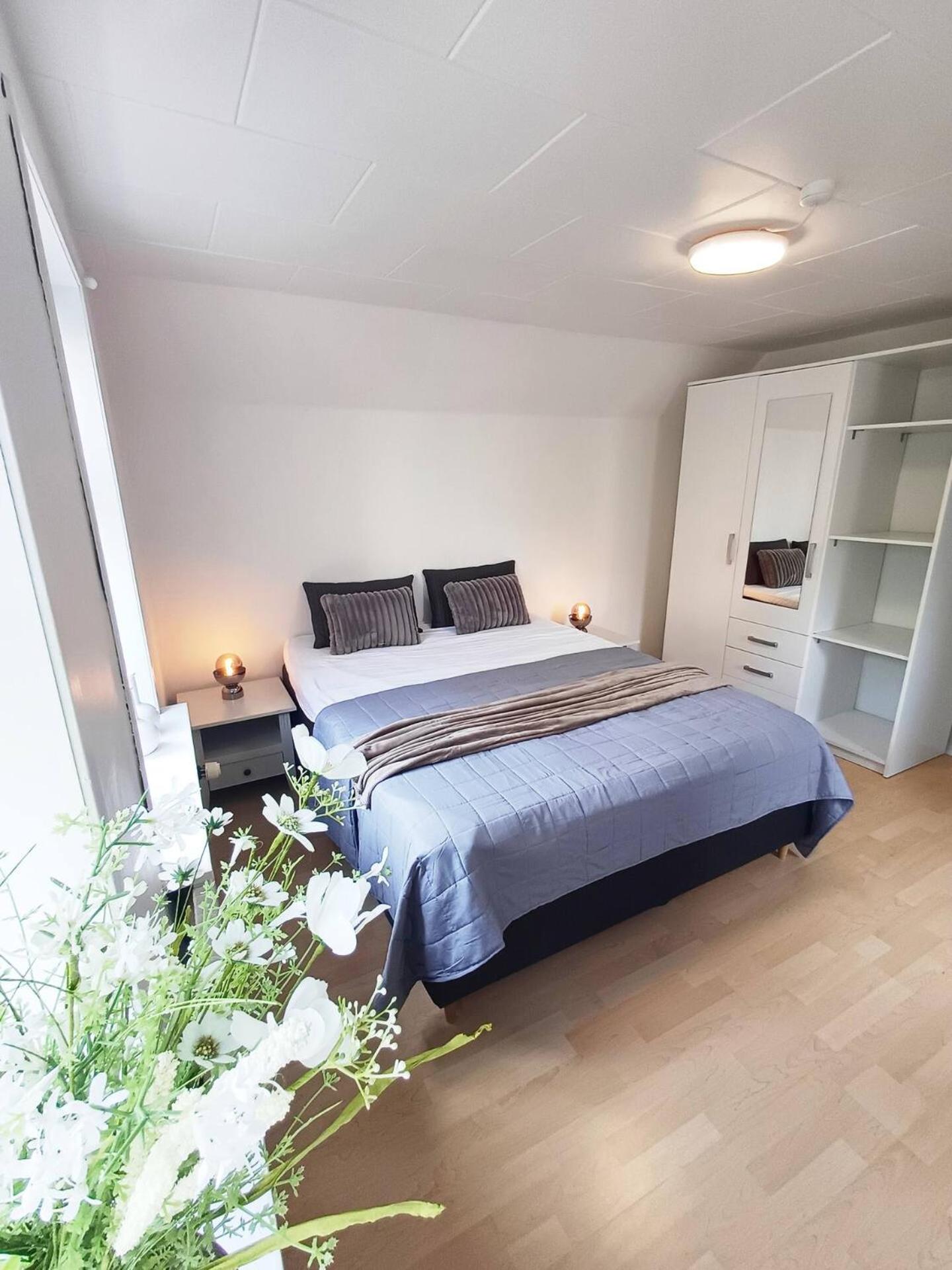 Cozy 1 bedroom apartment A