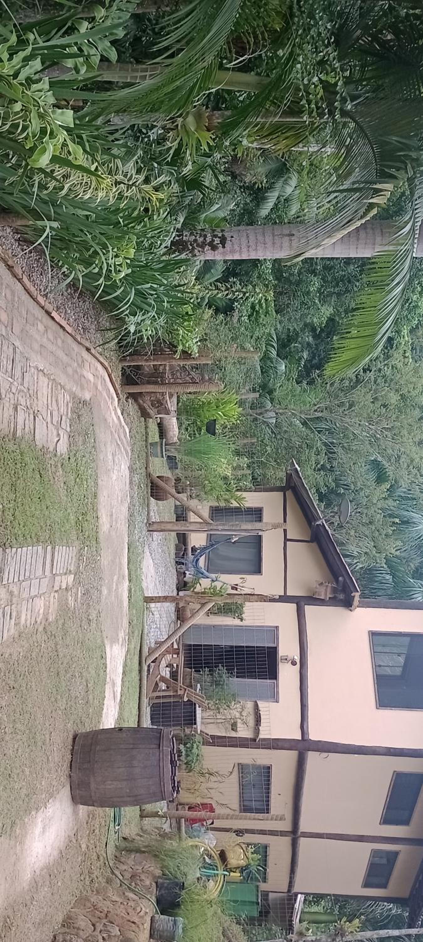 Ninho do Guaxe