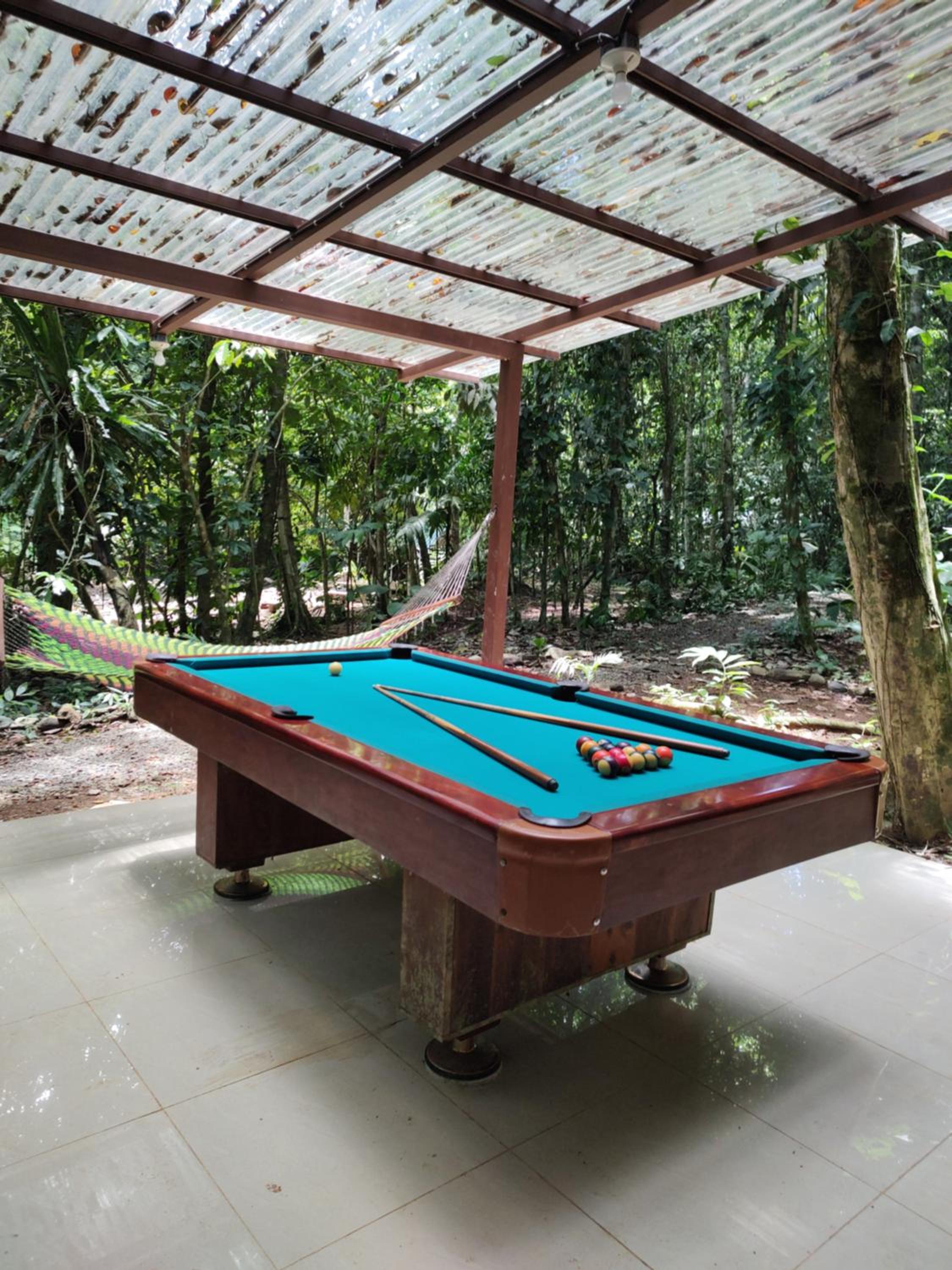 Cool Waters Jungle Deluxe Apartments
