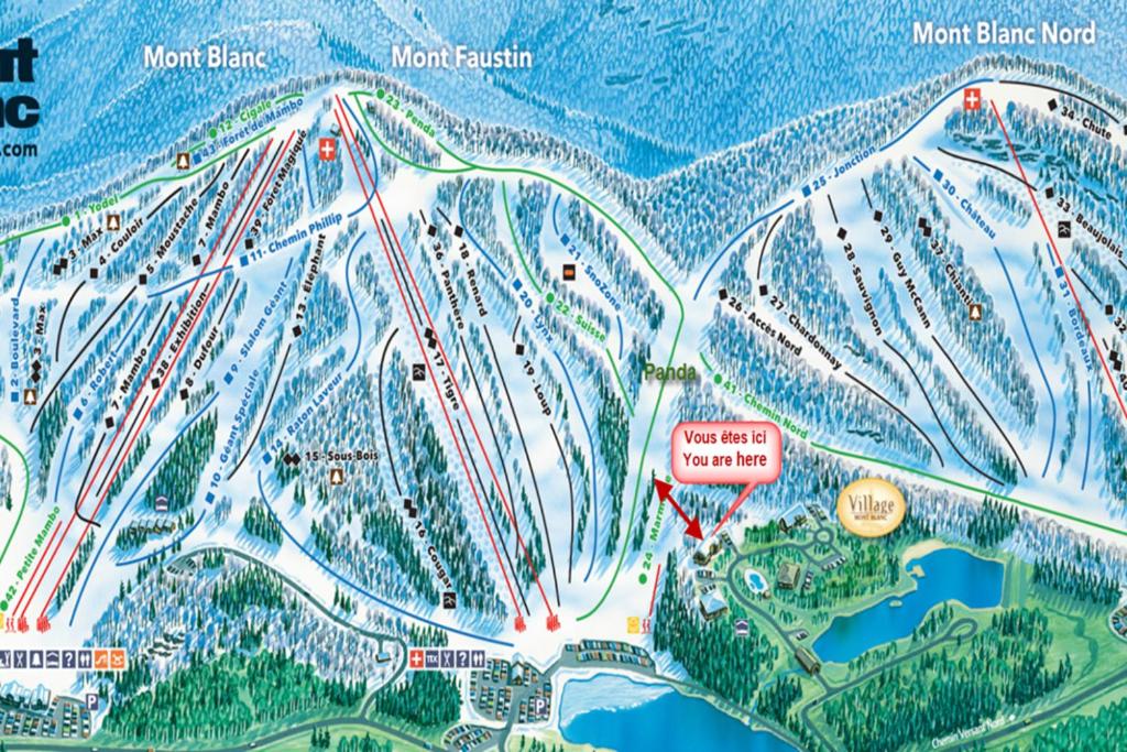 Mont Blanc Classic Chalet Ski-in Ski-out