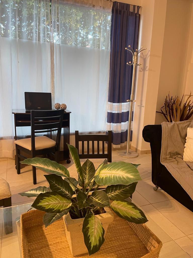 Departamento Juan Ramon Lestani