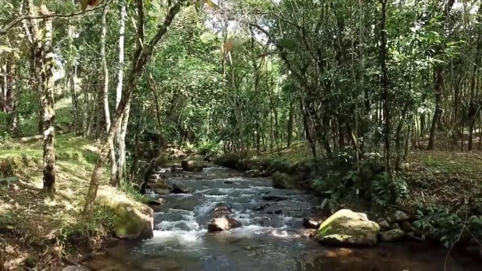 Hospedaria Nova Gokula - Lótus -