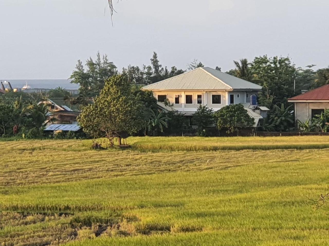 Photo 20
