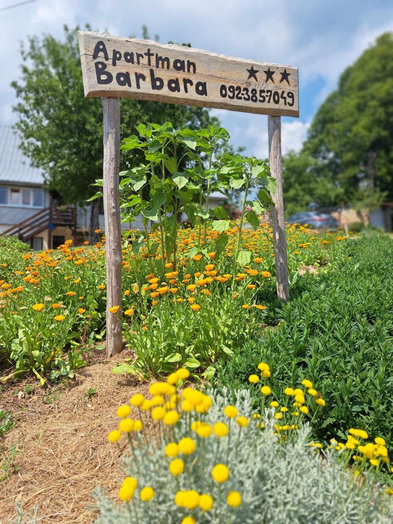 Apartman Barbara
