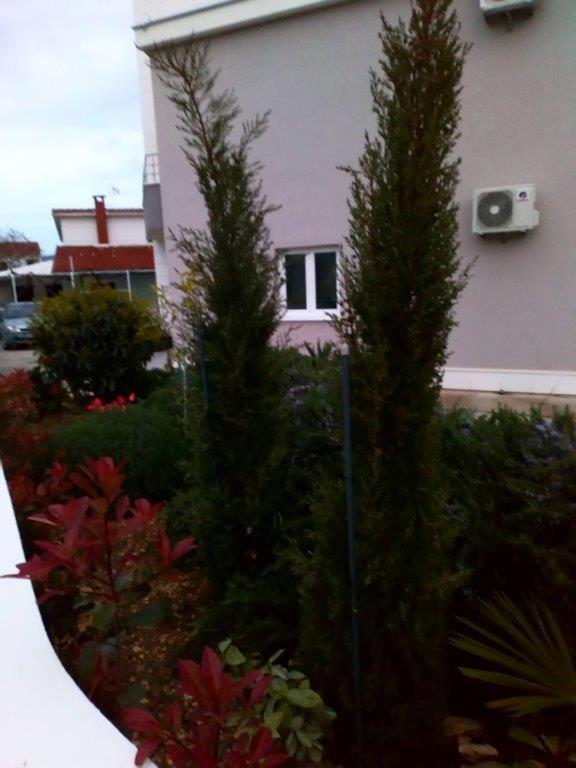 Apartmani Seka 1