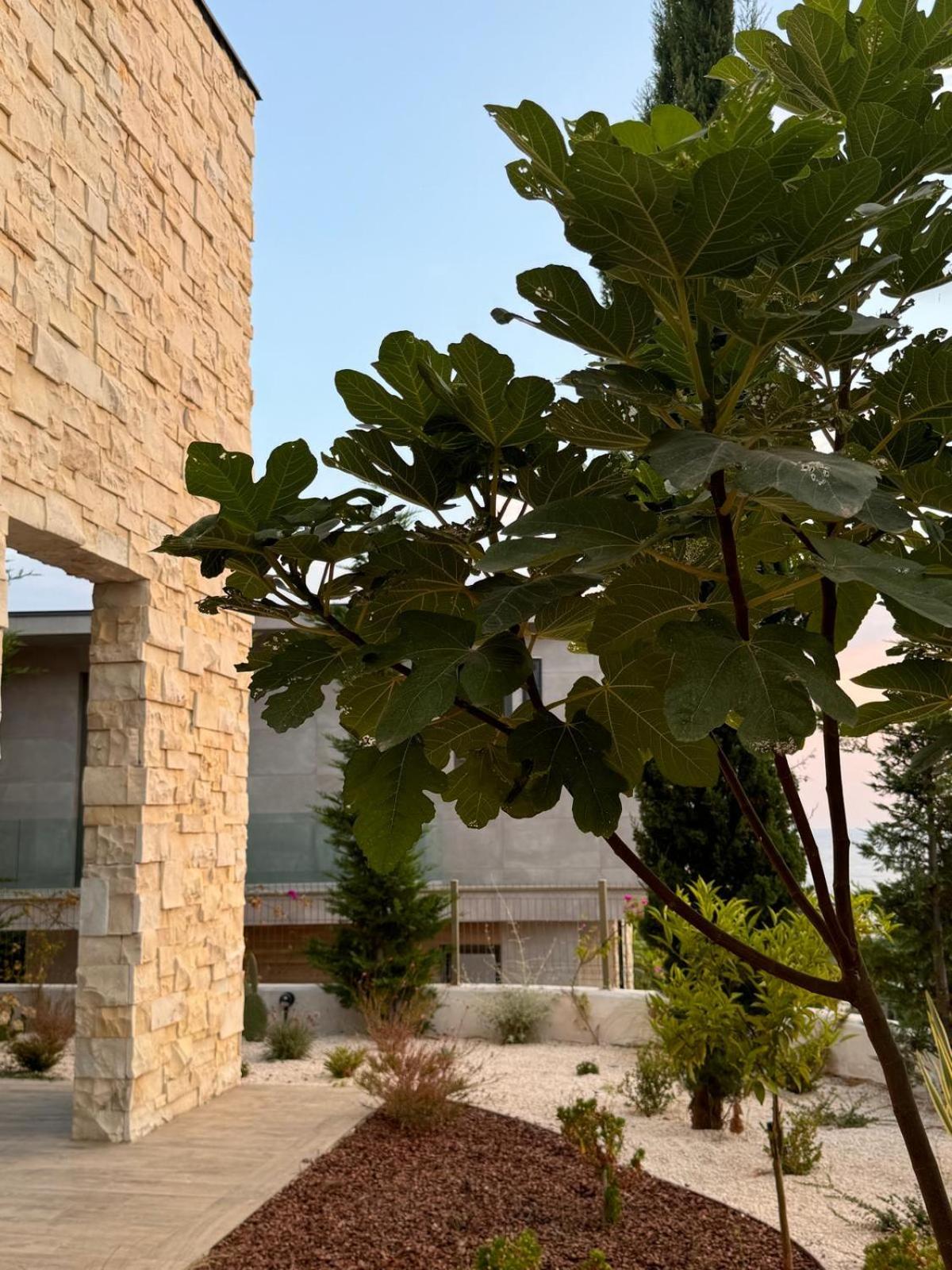 Summer Villa Olea Residence Drimades