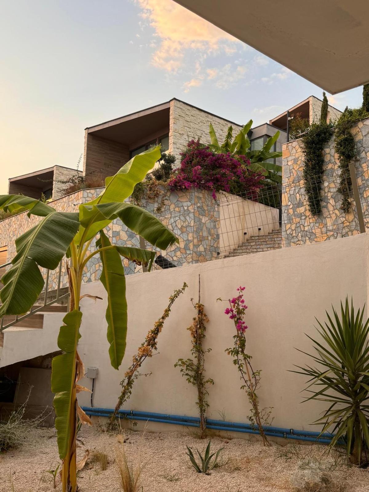 Summer Villa Olea Residence Drimades