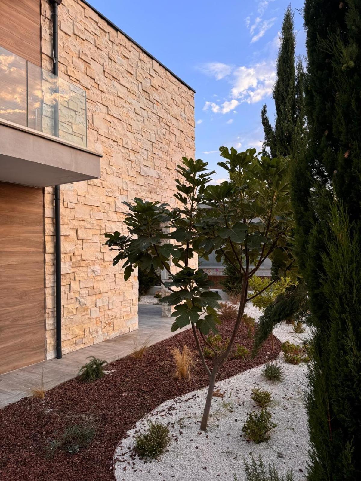 Summer Villa Olea Residence Drimades