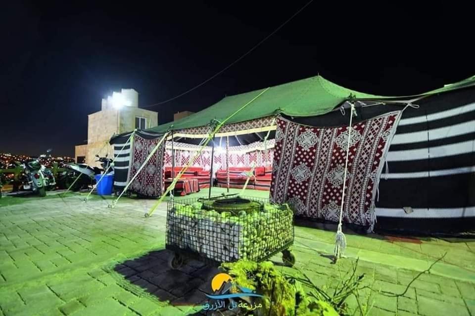 tal alazaraq view 4