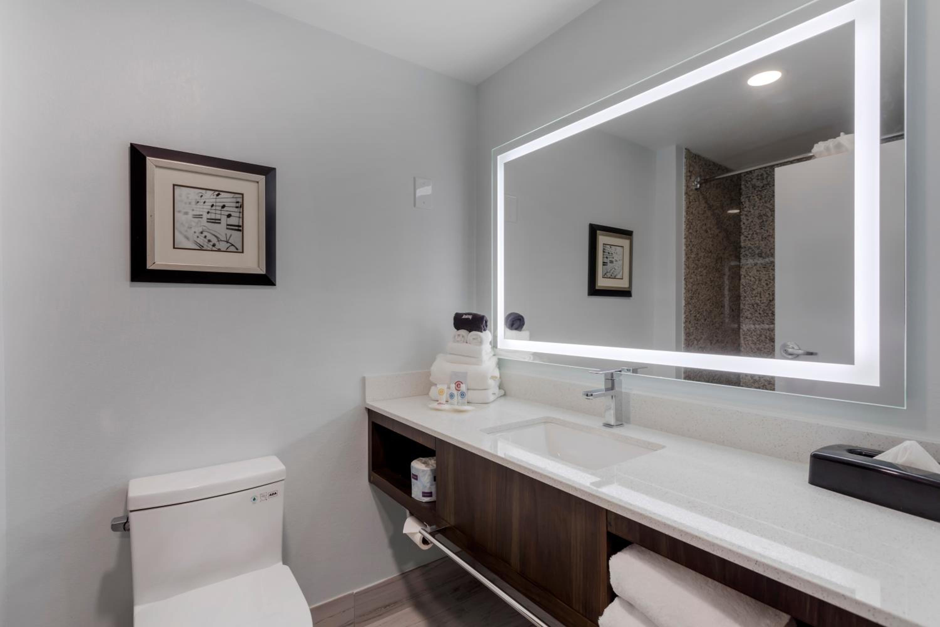 Comfort Suites Mt Juliet-Nashville Area - Property Image 10