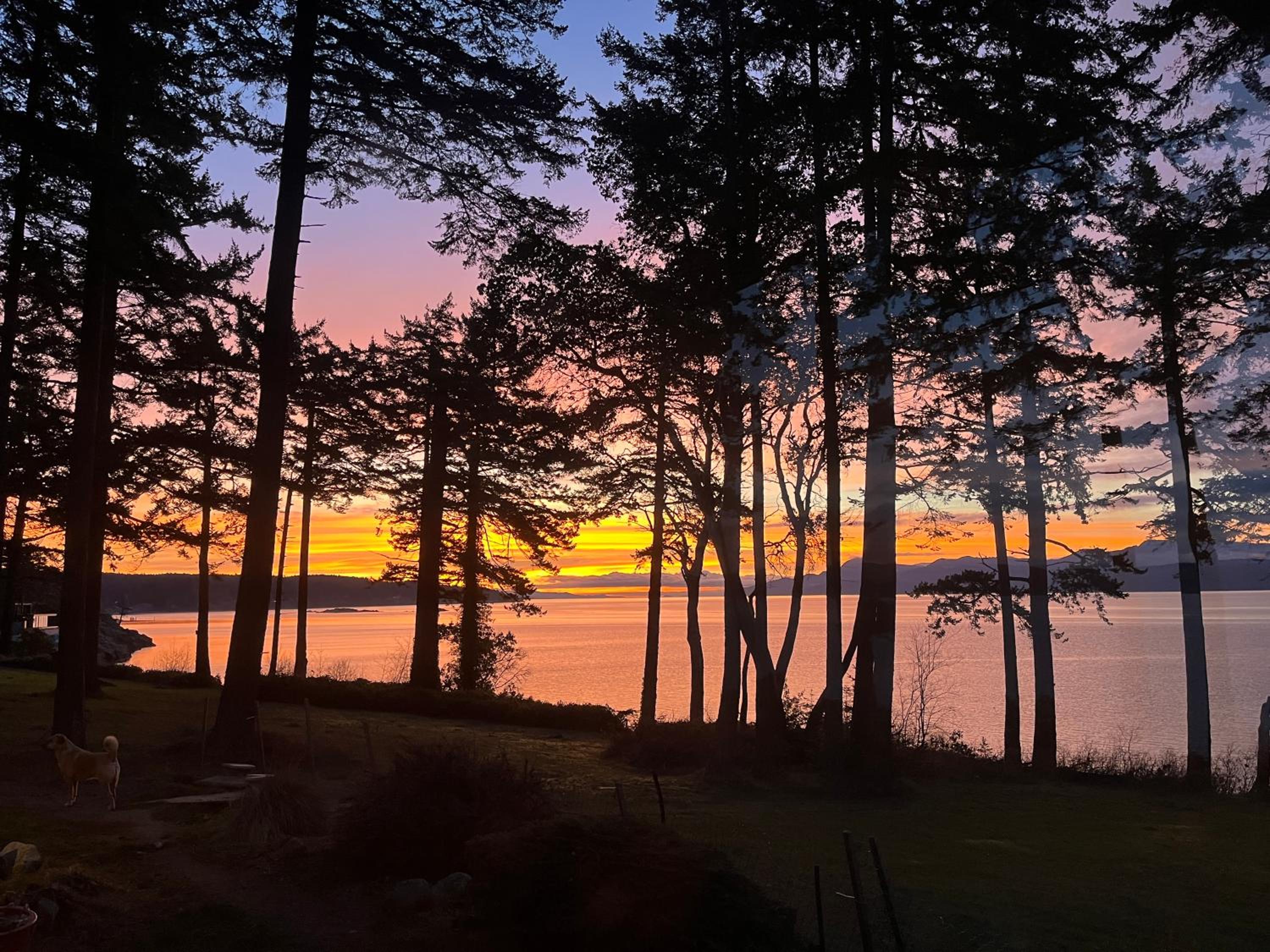 Malaspina Strait Tiny Home