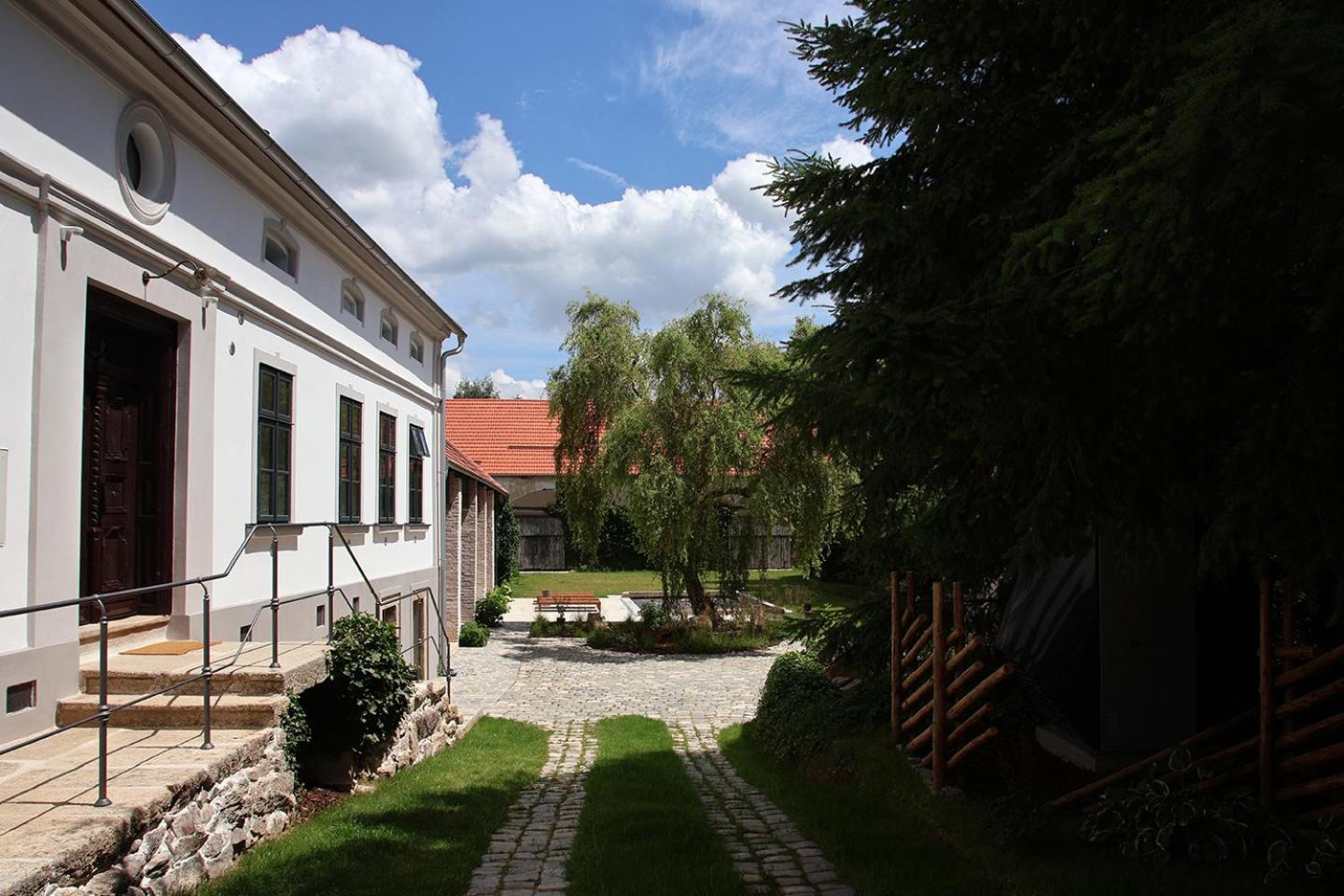 Darmyšl No13