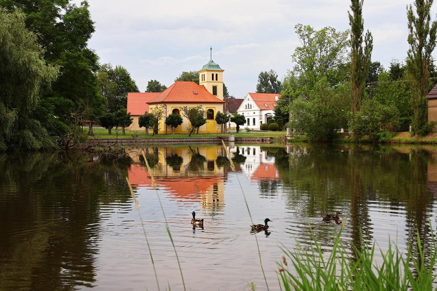 Darmyšl No13