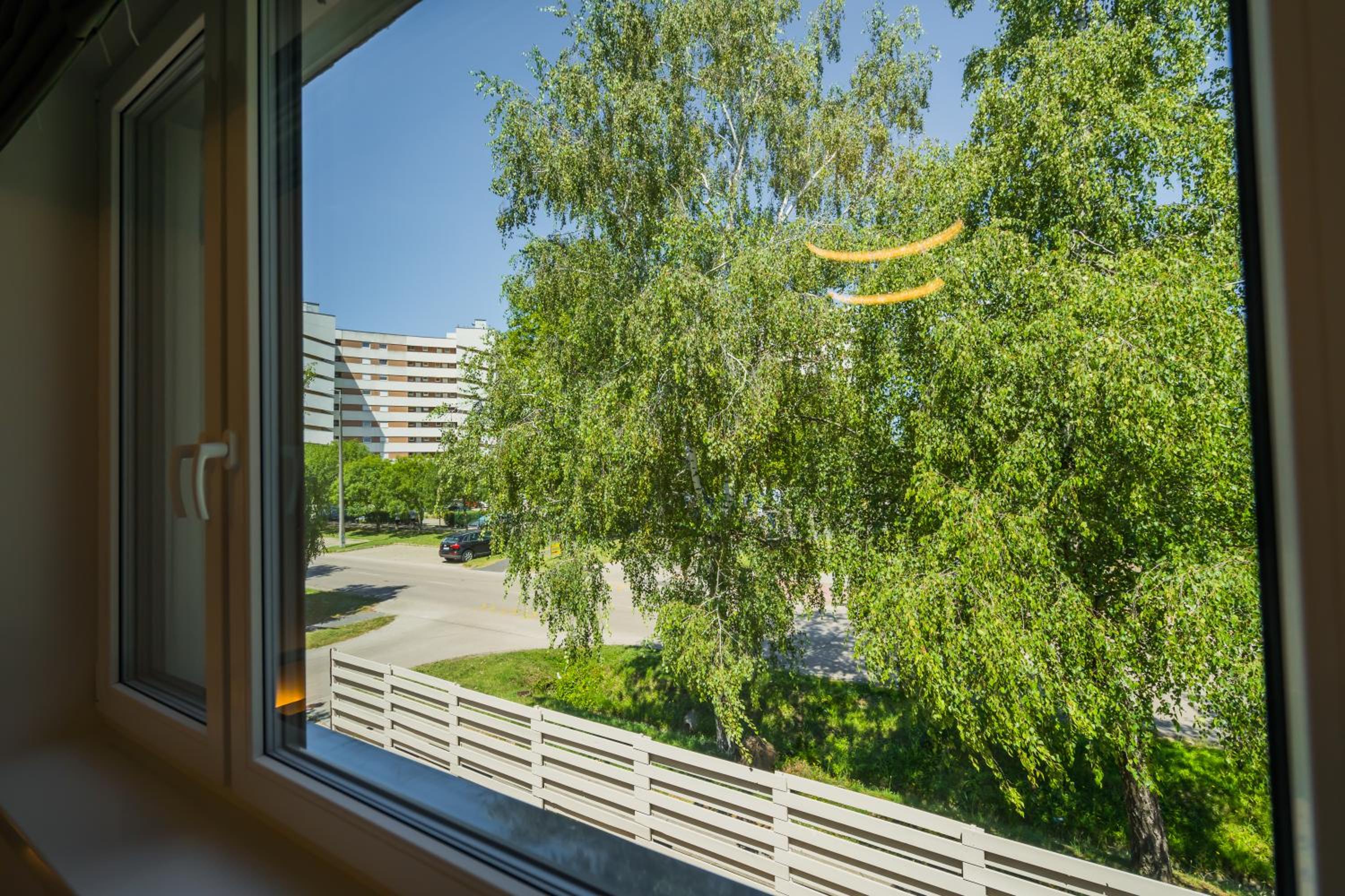 Aurea Apartman