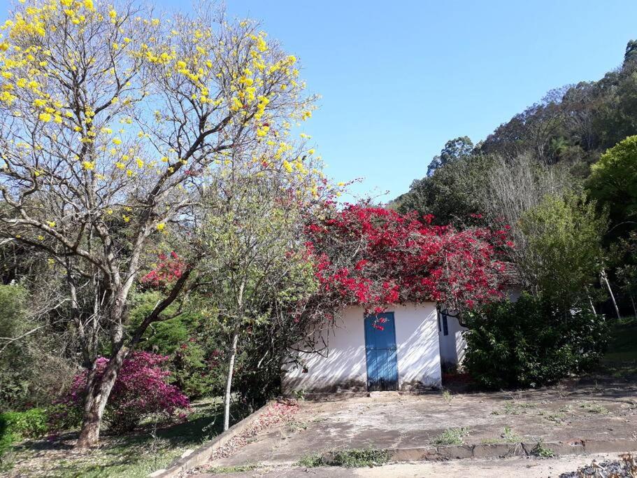 Pachamama Caconde
