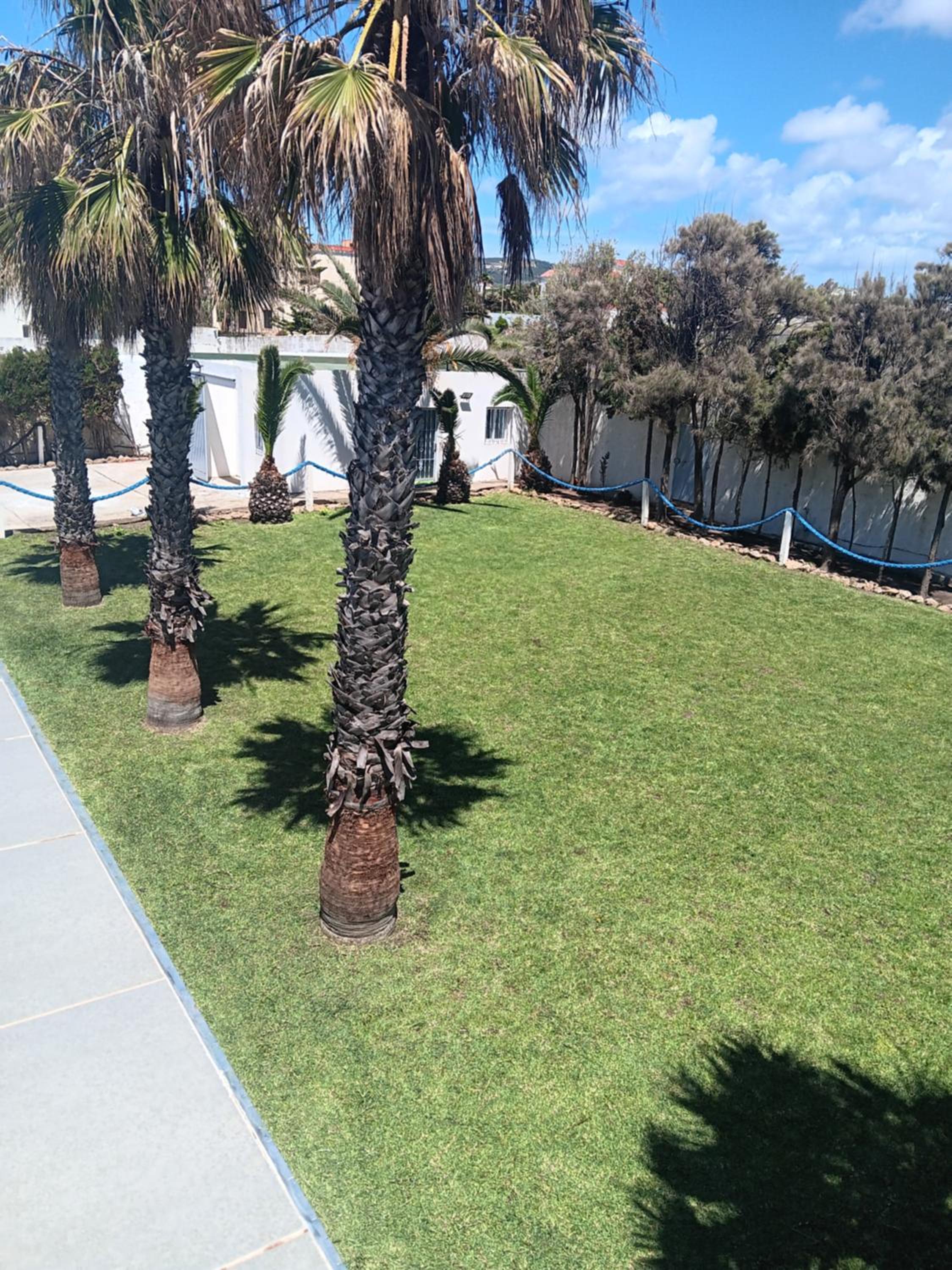 Villa familliale devant la plage view 5