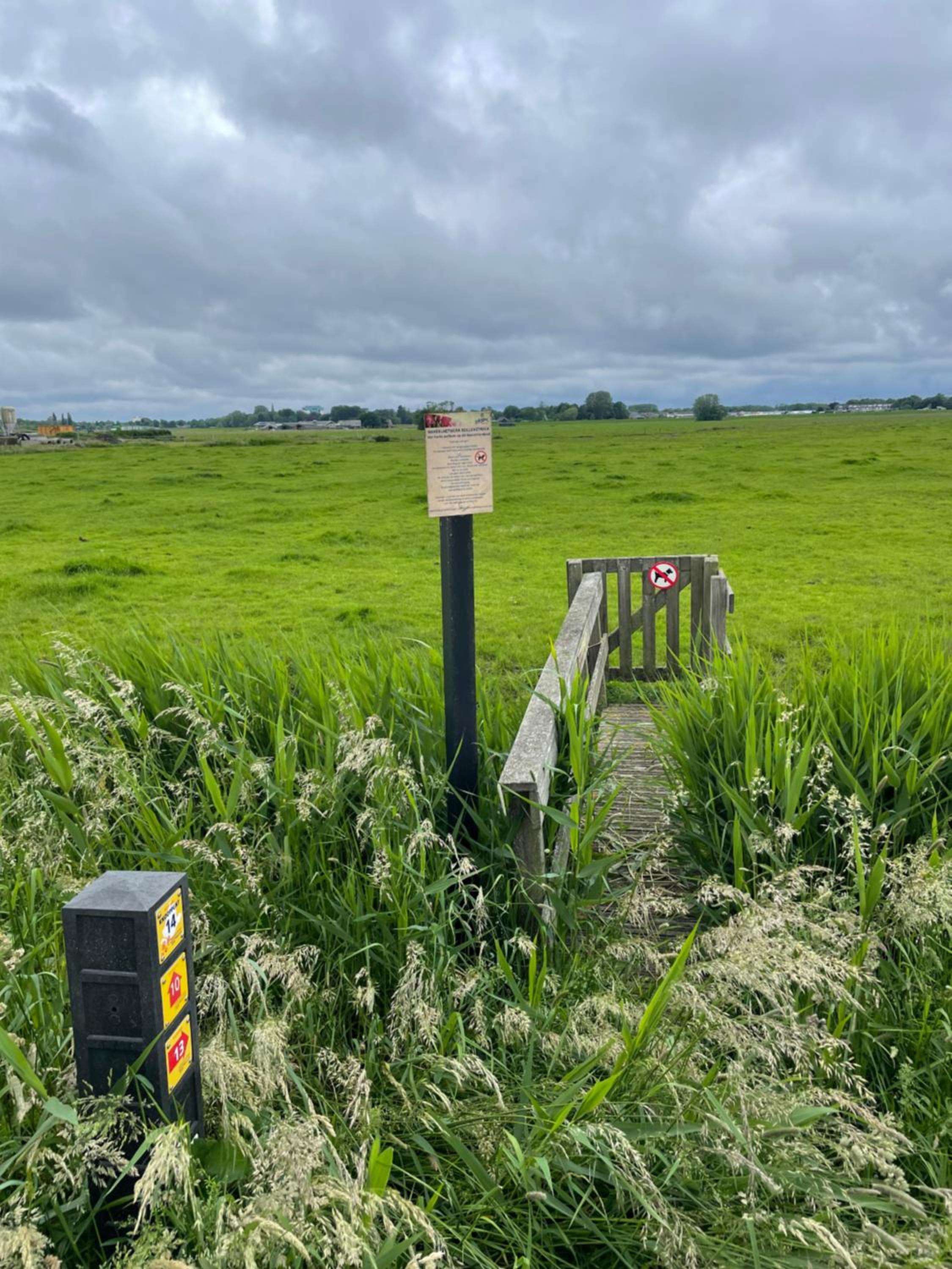 Photo 56