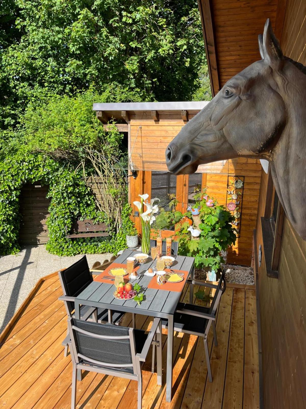 AP-Ranch Ferienzimmer Auszeit
