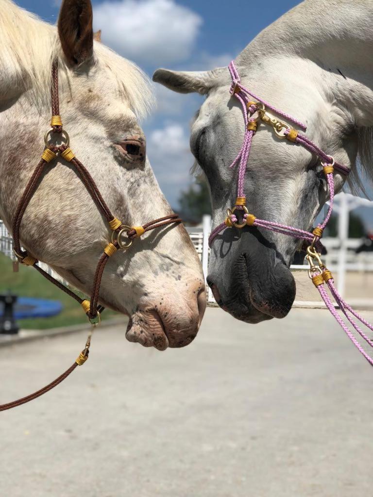 AP-Ranch Ferienzimmer Auszeit
