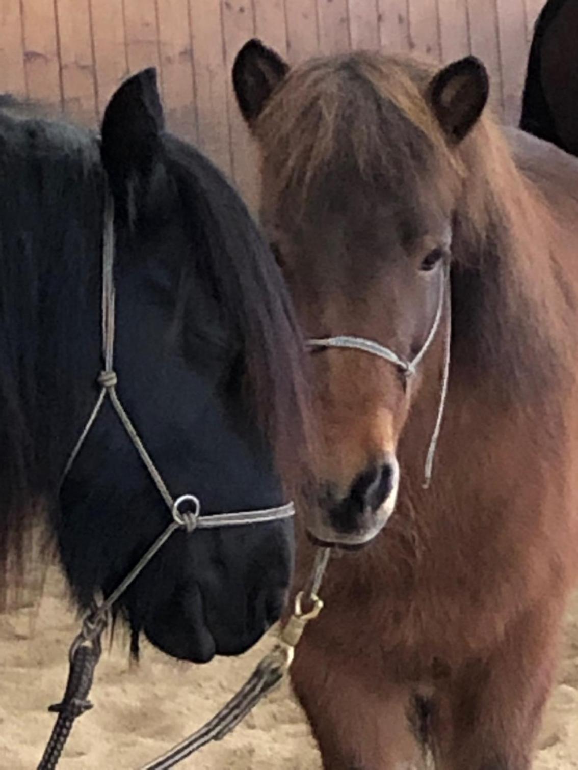 AP-Ranch Ferienzimmer Auszeit