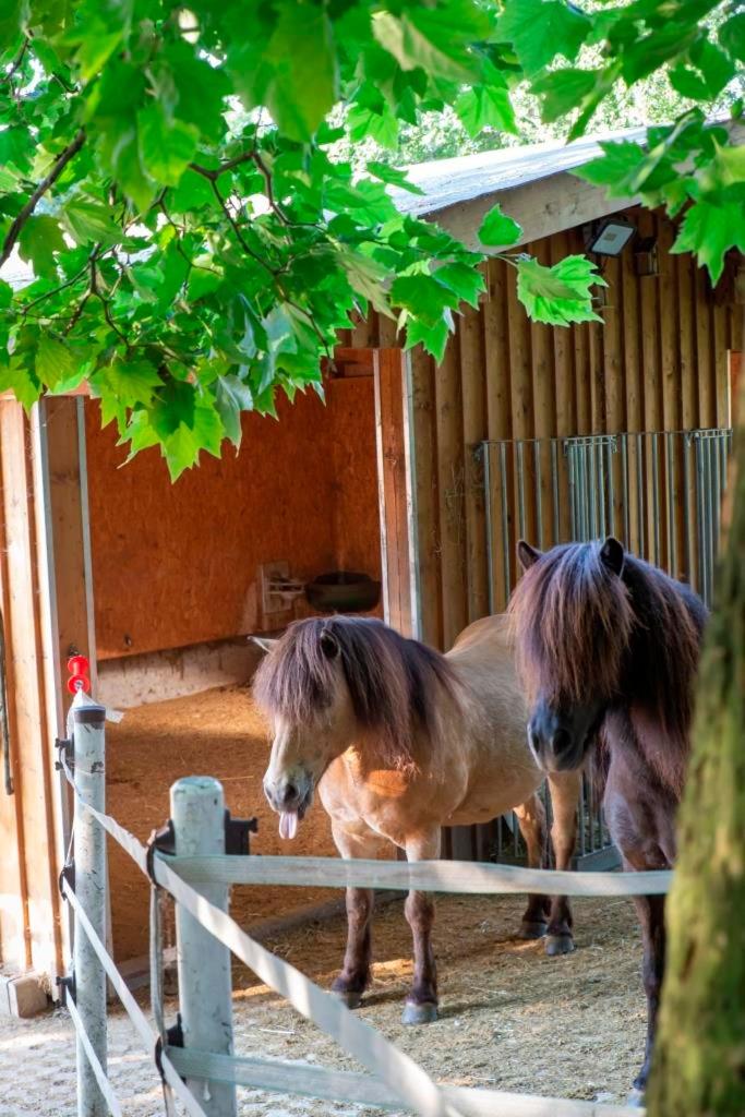 AP-Ranch Ferienzimmer Auszeit