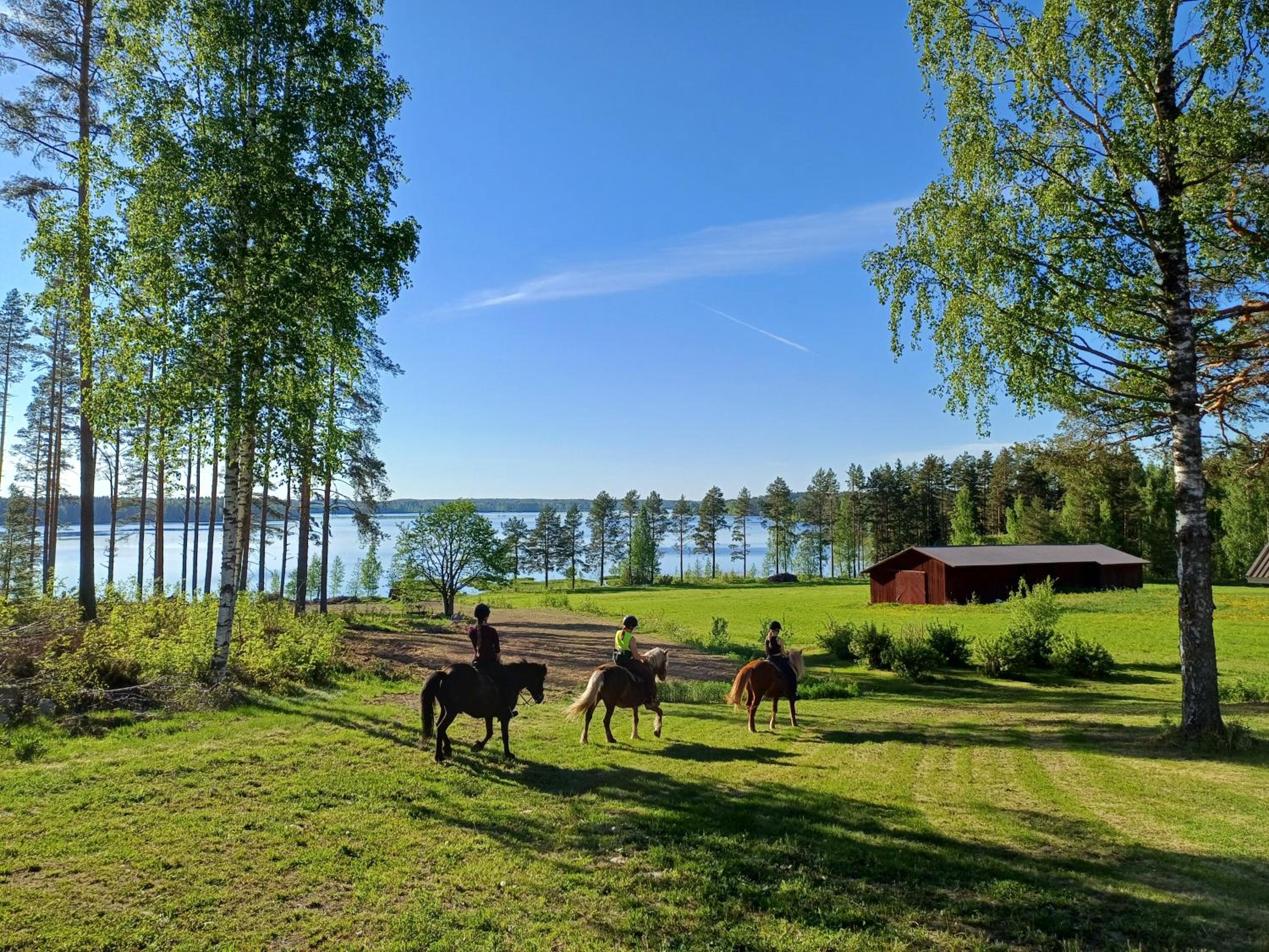 Loma Kallioniemi