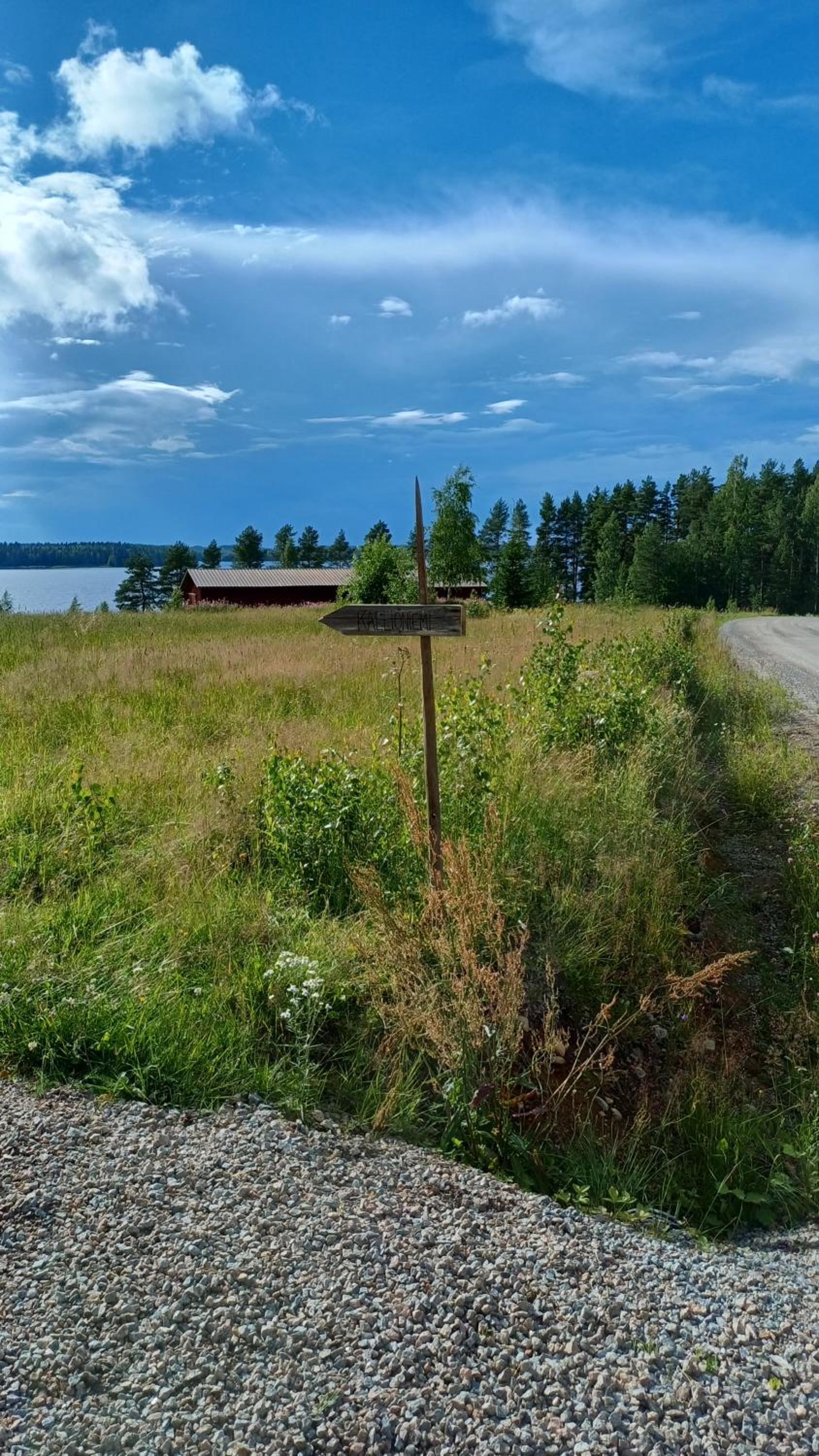 Loma Kallioniemi
