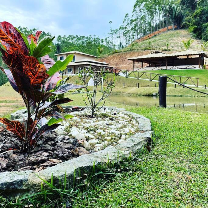 sitio lelis