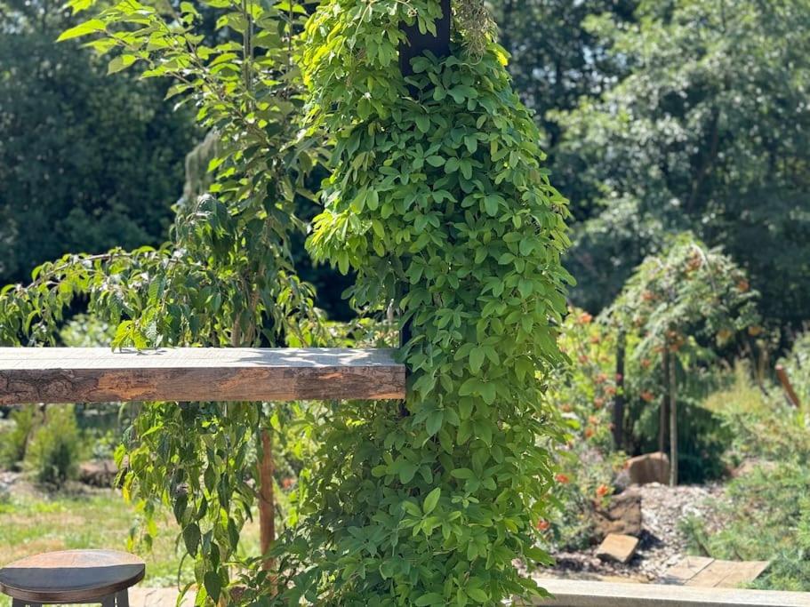 Garden Residence - The Nest