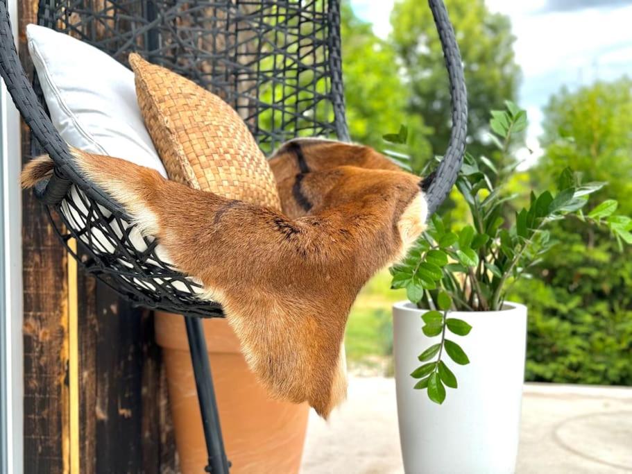 Garden Residence - The Nest