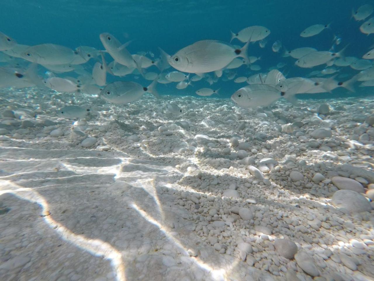 Ventu De Mare