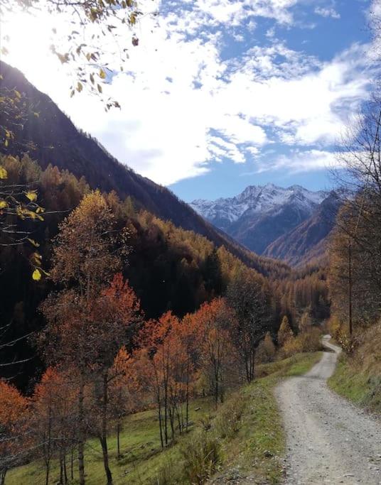 Appartamento Belvedere