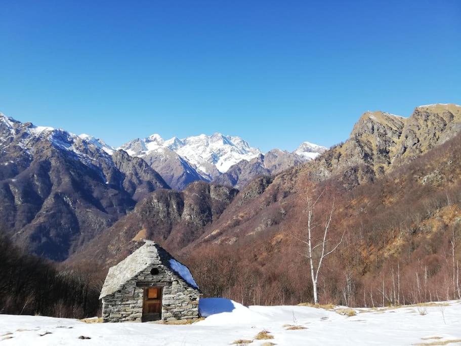 Appartamento Belvedere