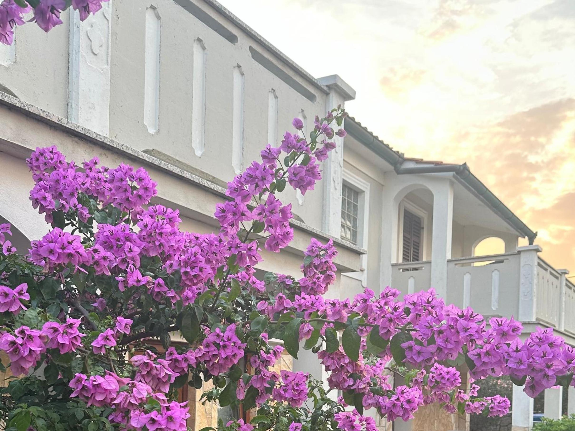 Apartments Kalsan view 2