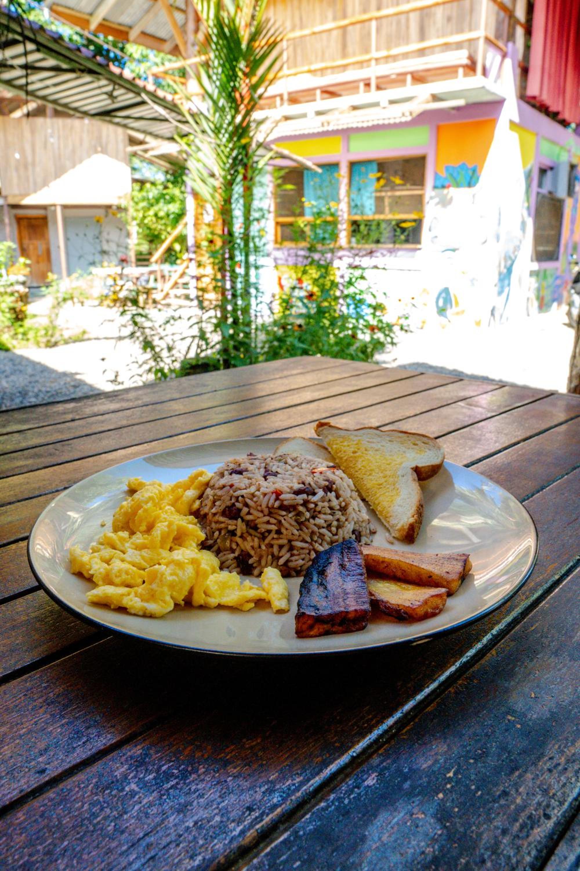 Flutterby House Hostel