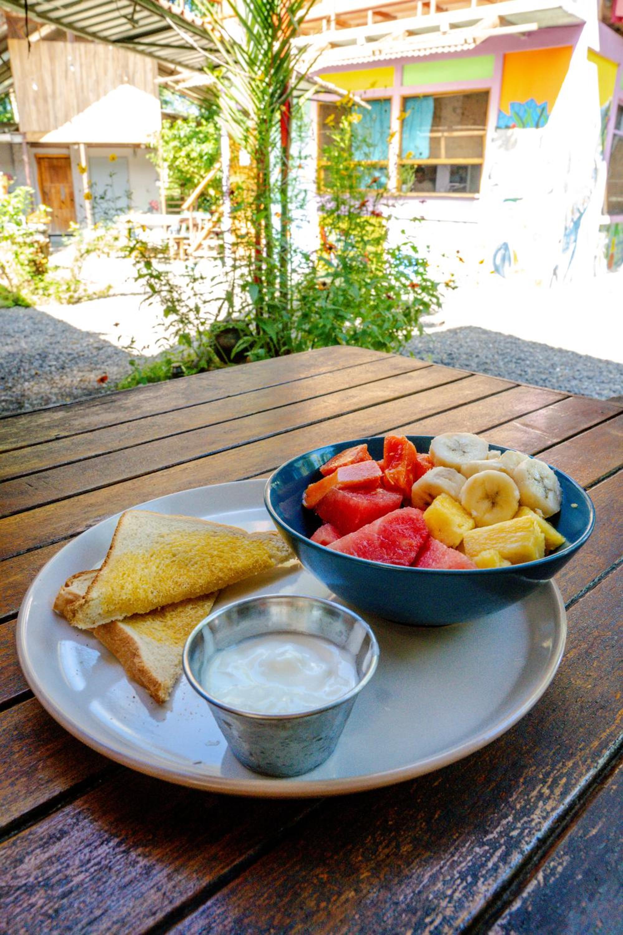 Flutterby House Hostel