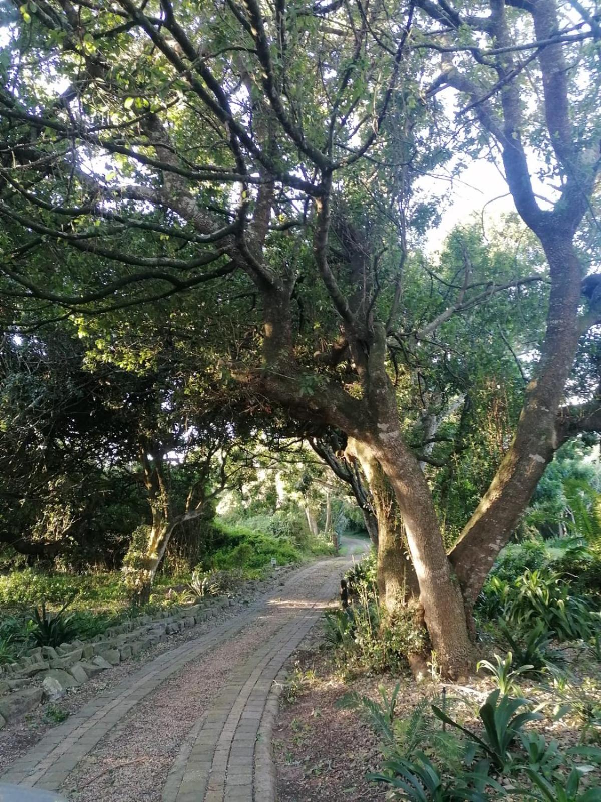 The Nest at Au Petit Paradis view 4