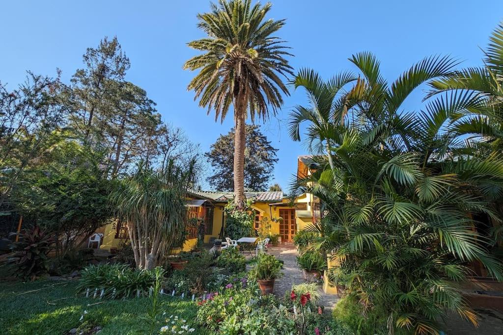 Hotel Chalet La Llovizna - Lush Hidden Paradise In Panajachel