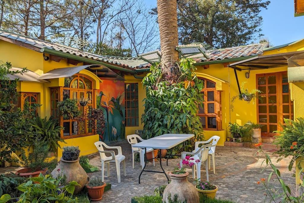 Chalet La Llovizna - Lush hidden paradise in Panajachel view 3