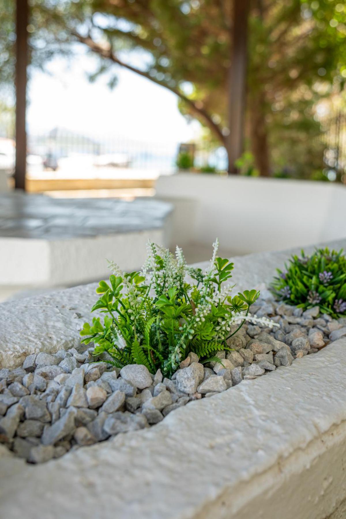 Alkis Guest House by AegianKazarte