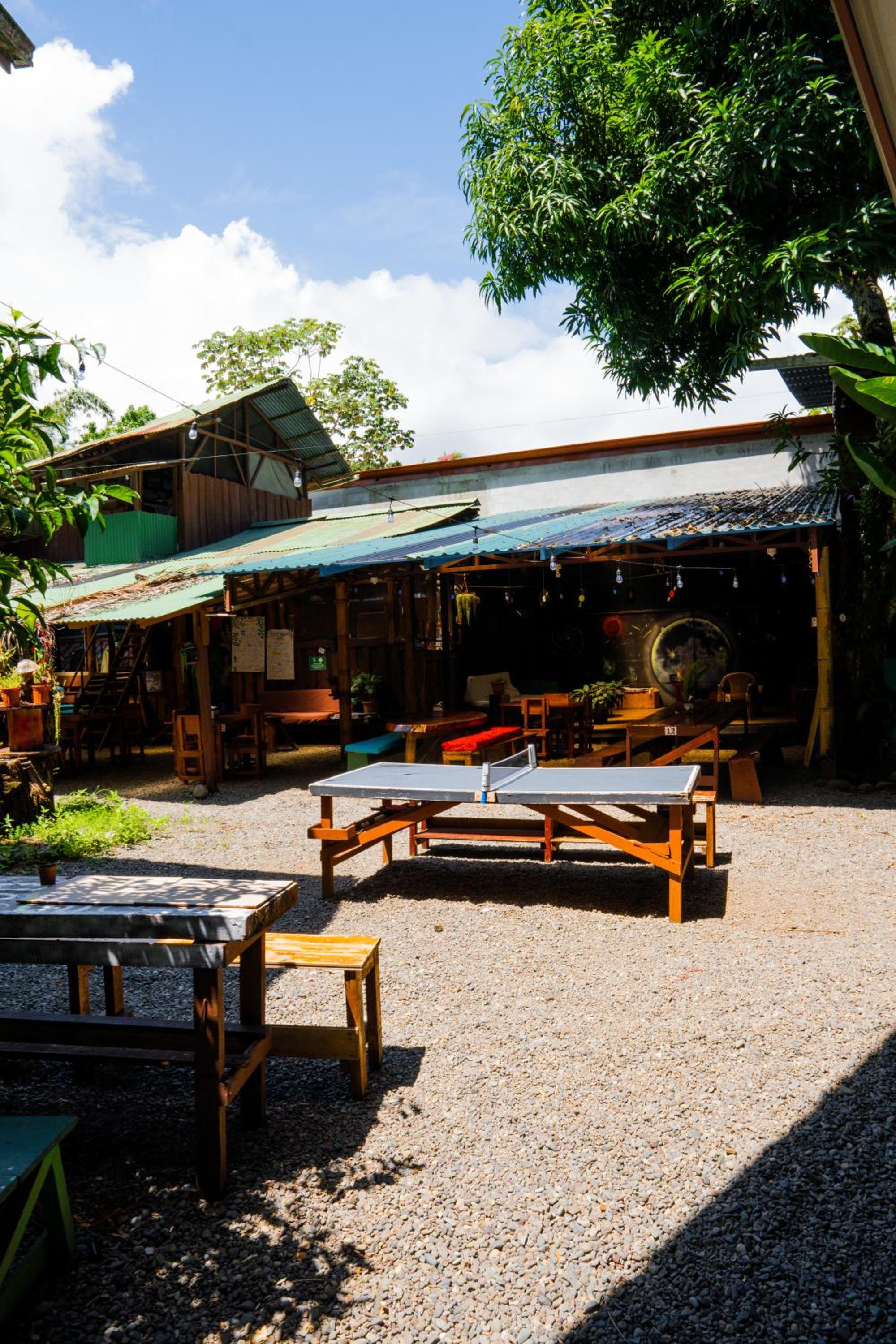 Flutterby House Hostel