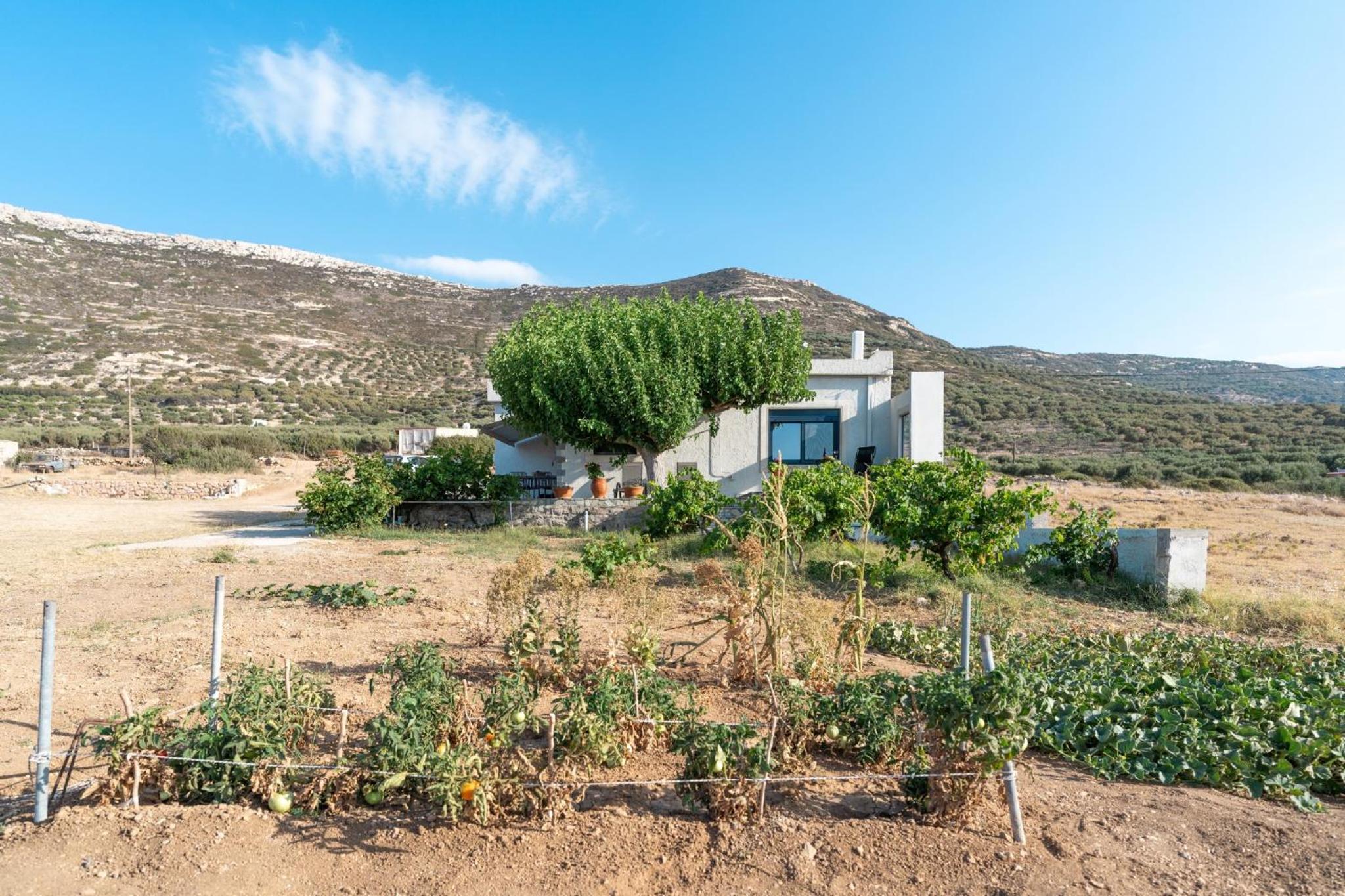 Unique 2 BDR Popi Villa IN FRONT of the SEA