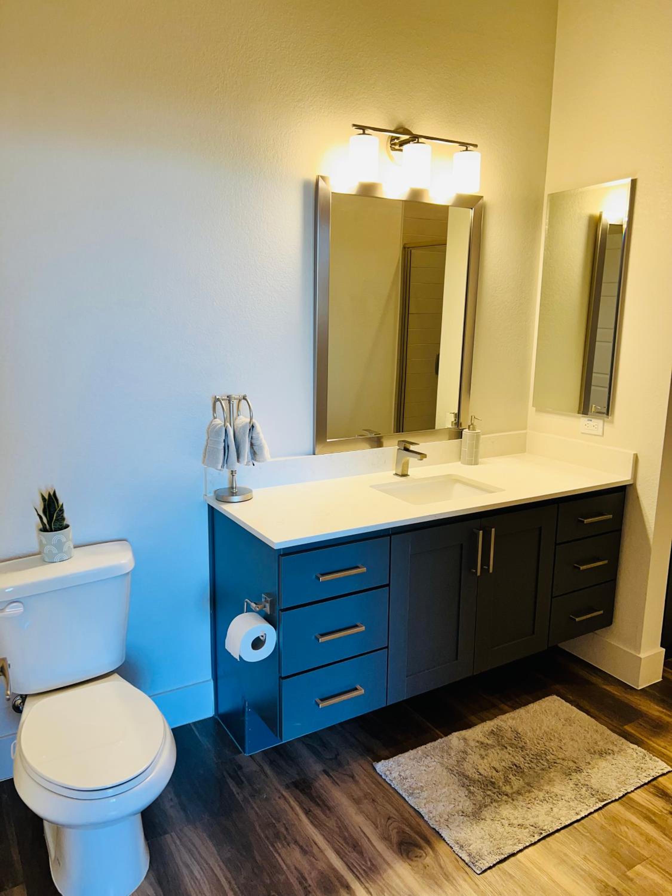 Scottsdale Luxury Oasis! view 5