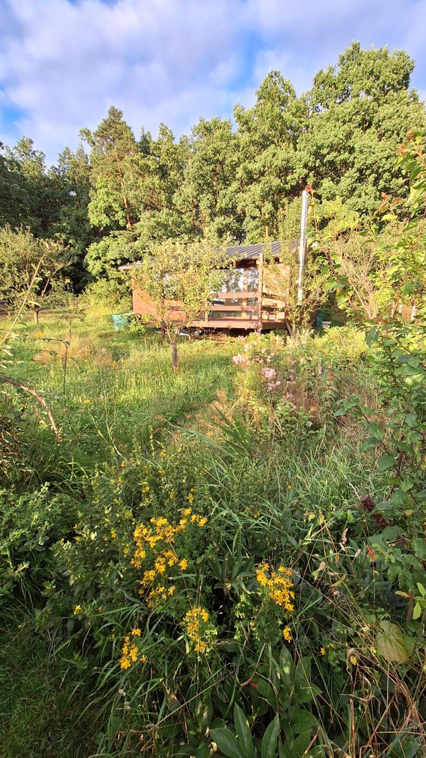 Domek pod jabloní