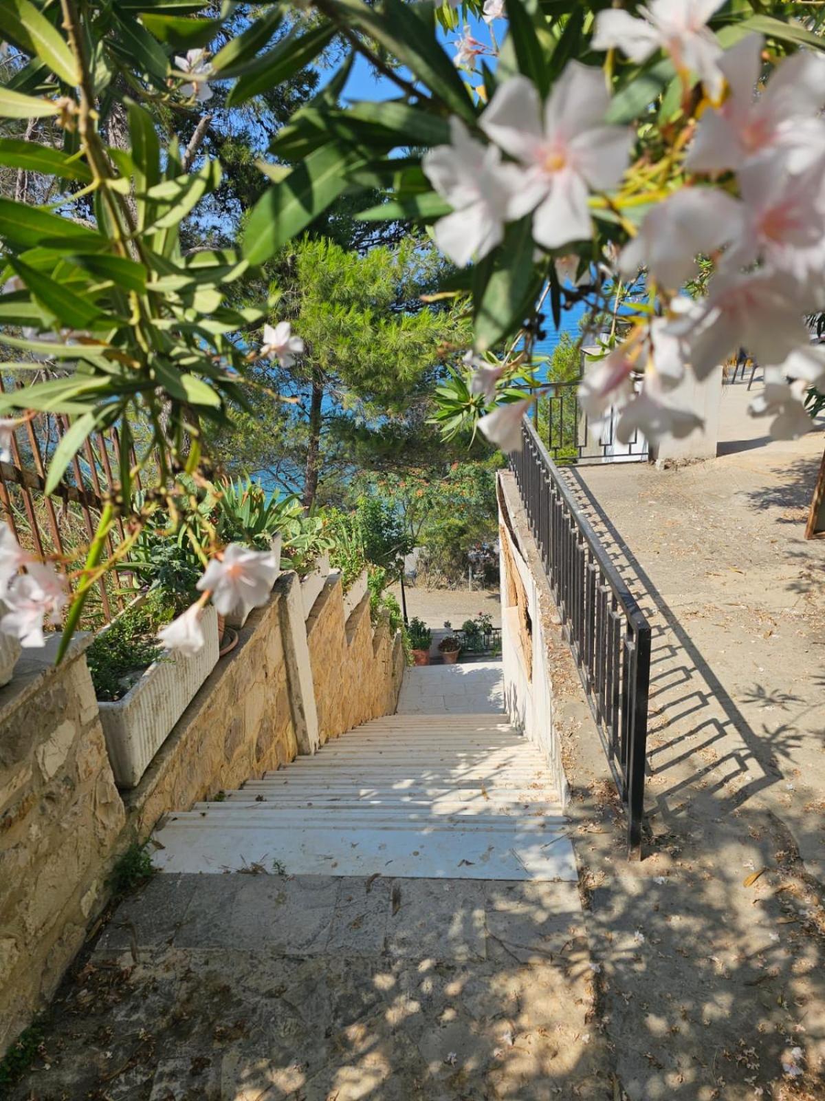Bral Currila - Peaceful Beachfront Apartment