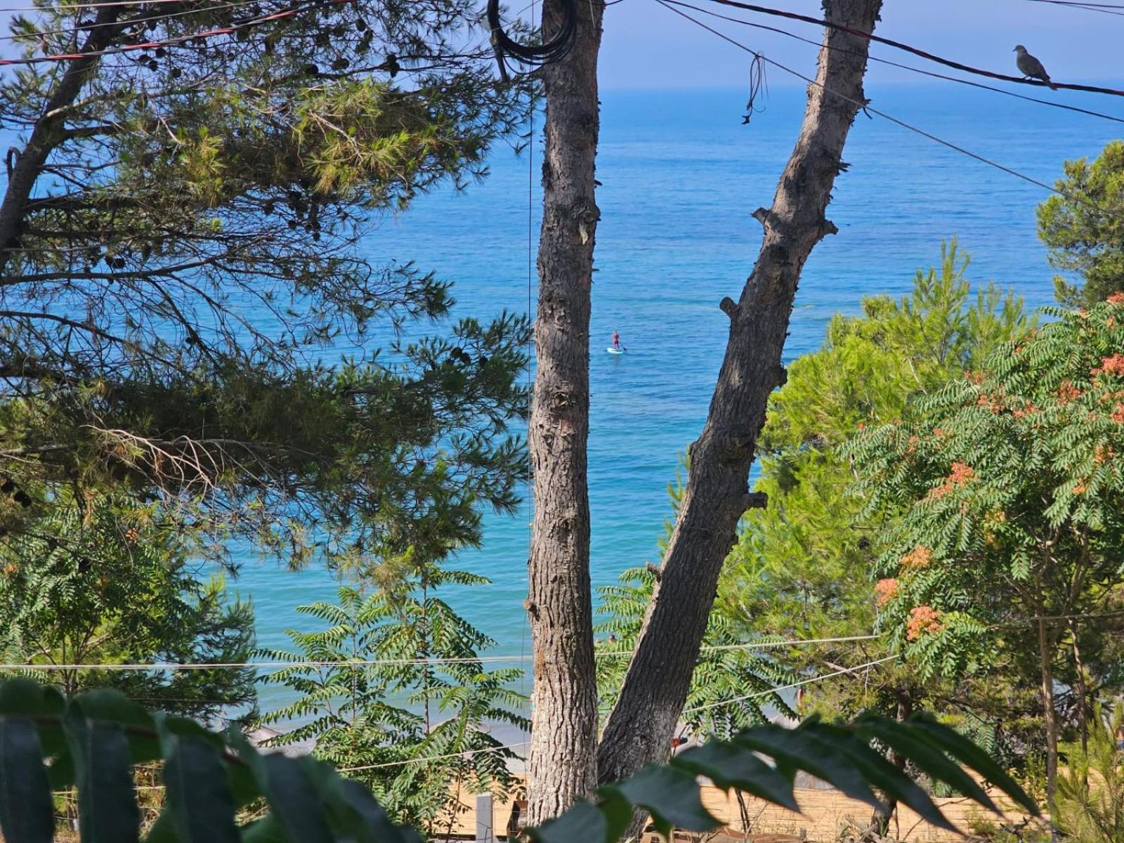 Bral Currila - Peaceful Beachfront Apartment
